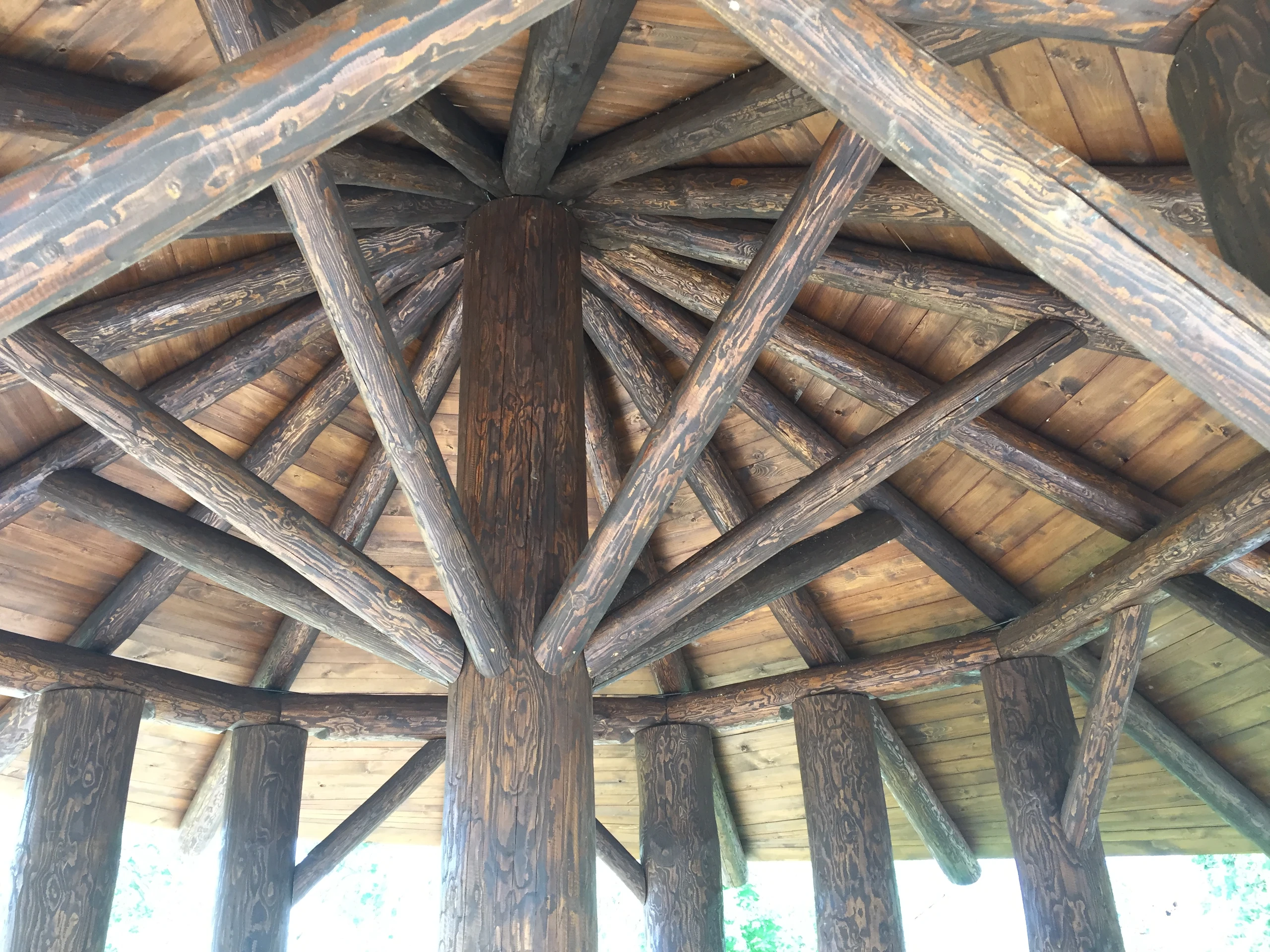 Profesionálové pro střechu nad vaší hlavou..